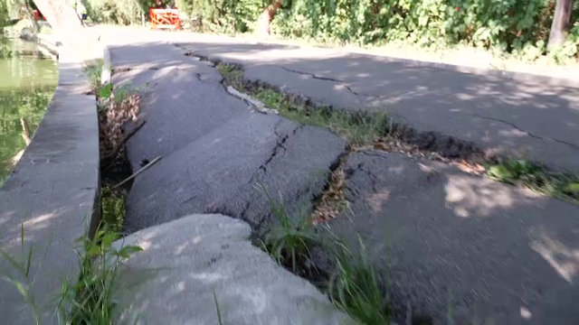 Herăstrău, cel mai mare parc din București, intră în reparații după zeci de ani de degradare. Cum va arăta după renovare