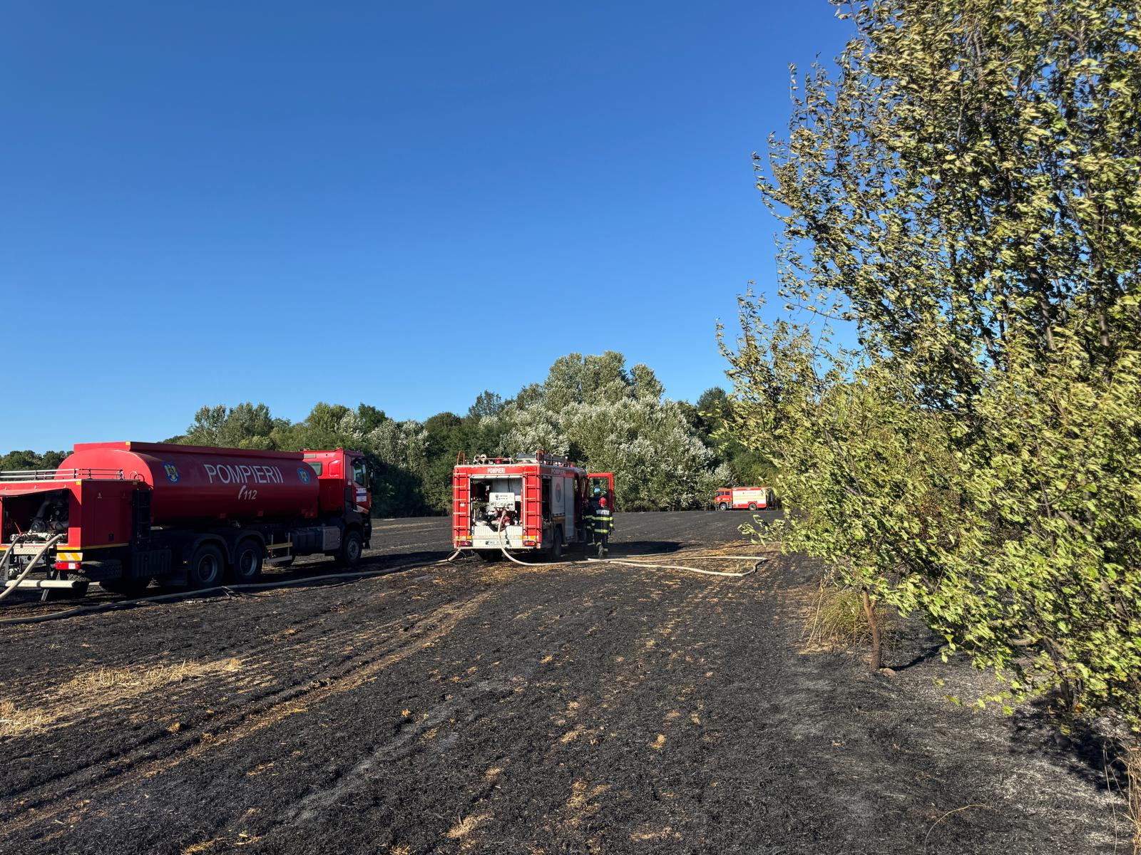 Incendiu în Ilfov. Şapte hectare de vegetaţie uscată, o casă şi două maşini au fost cuprinse de flăcări | FOTO
