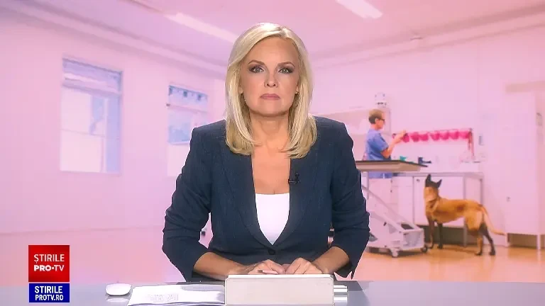 Abonamentele medicale pentru animale, noul trend în România. Care sunt prețurile și ce servicii sunt incluse