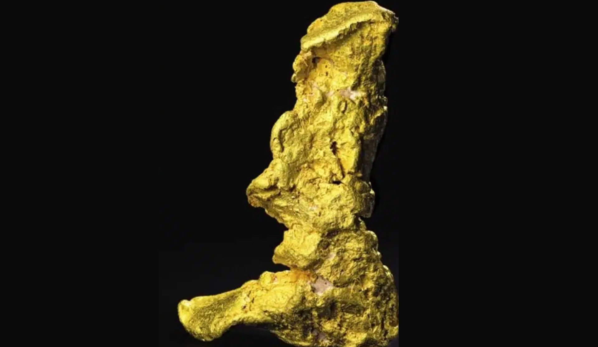 Un bărbat a descoperit o pepită de aur de 12 kg în deșert și a vândut-o pe nimic. Acum valorează 1,5 milioane de dolari