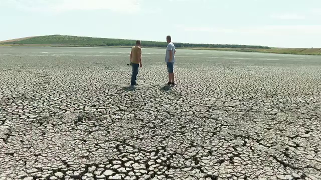 Nivelul Dunării a scăzut alarmant. Pe malul apelor zac bancuri de pești morți, iar bărcile sunt blocate în nămol
