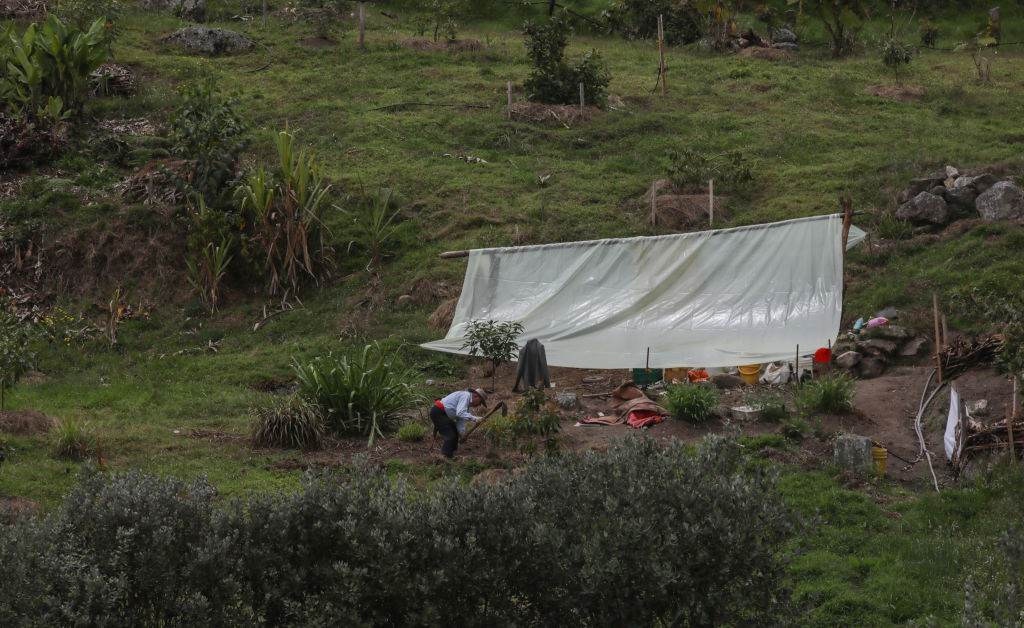 O linie umană ancestrală necunoscută, descoperită în Columbia. Secvențierea ADN-ului dezvăluie secrete de 6.000 de ani