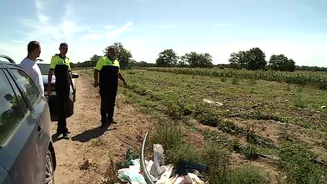 Recolte otrăvite în România. Autoritățile au făcut o descoperire tulburătoare în sudul țării, după o vizită pe câmpuri