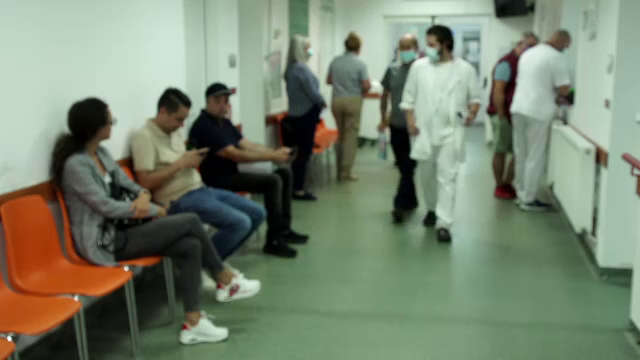 „Uraganul nevăzut”: Niveluri alarmante de polen de ambrozie în aerul din România. Chiar și nealergicii pot fi afectați