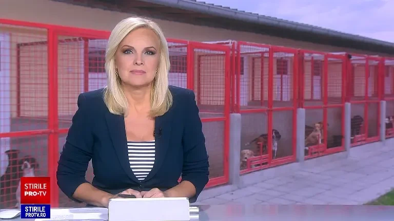 România este pe primul loc în Uniunea Europeană la numărul de familii cu câini