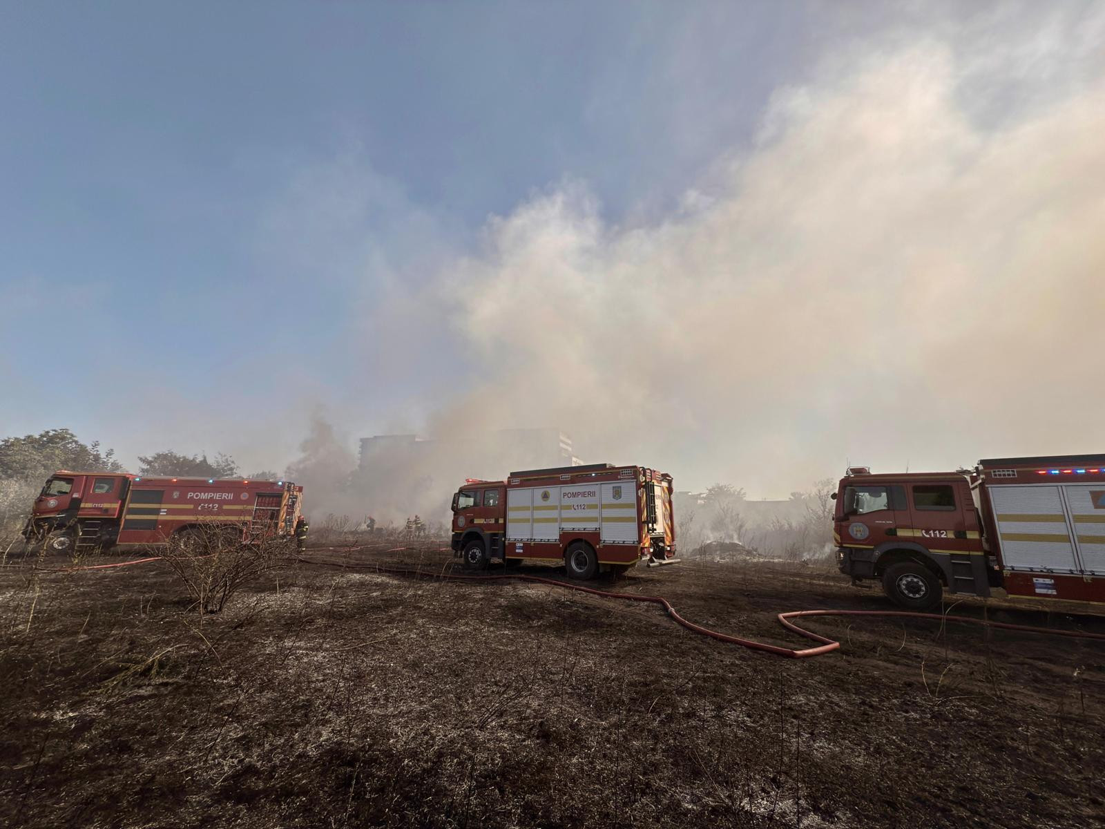 Un incendiu de vegetaţie se extinde cu rapiditate în București. A fost emis mesaj RO-ALERT. FOTO
