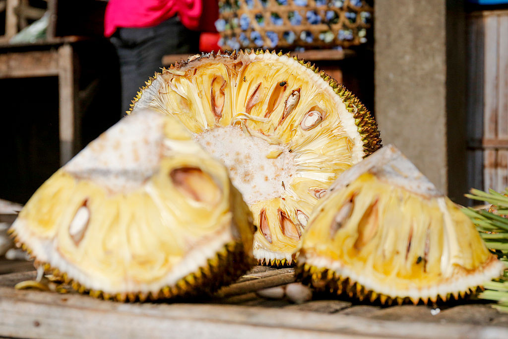 Jackfruit