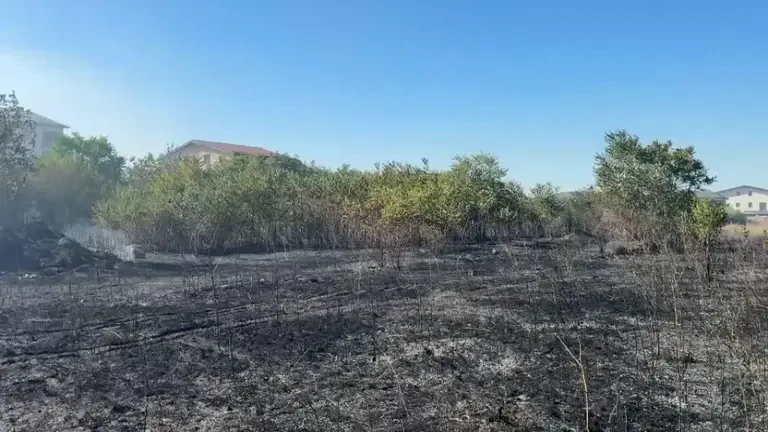 Un incendiu de vegetaţie se extinde cu rapiditate în București. A fost emis mesaj RO-ALERT