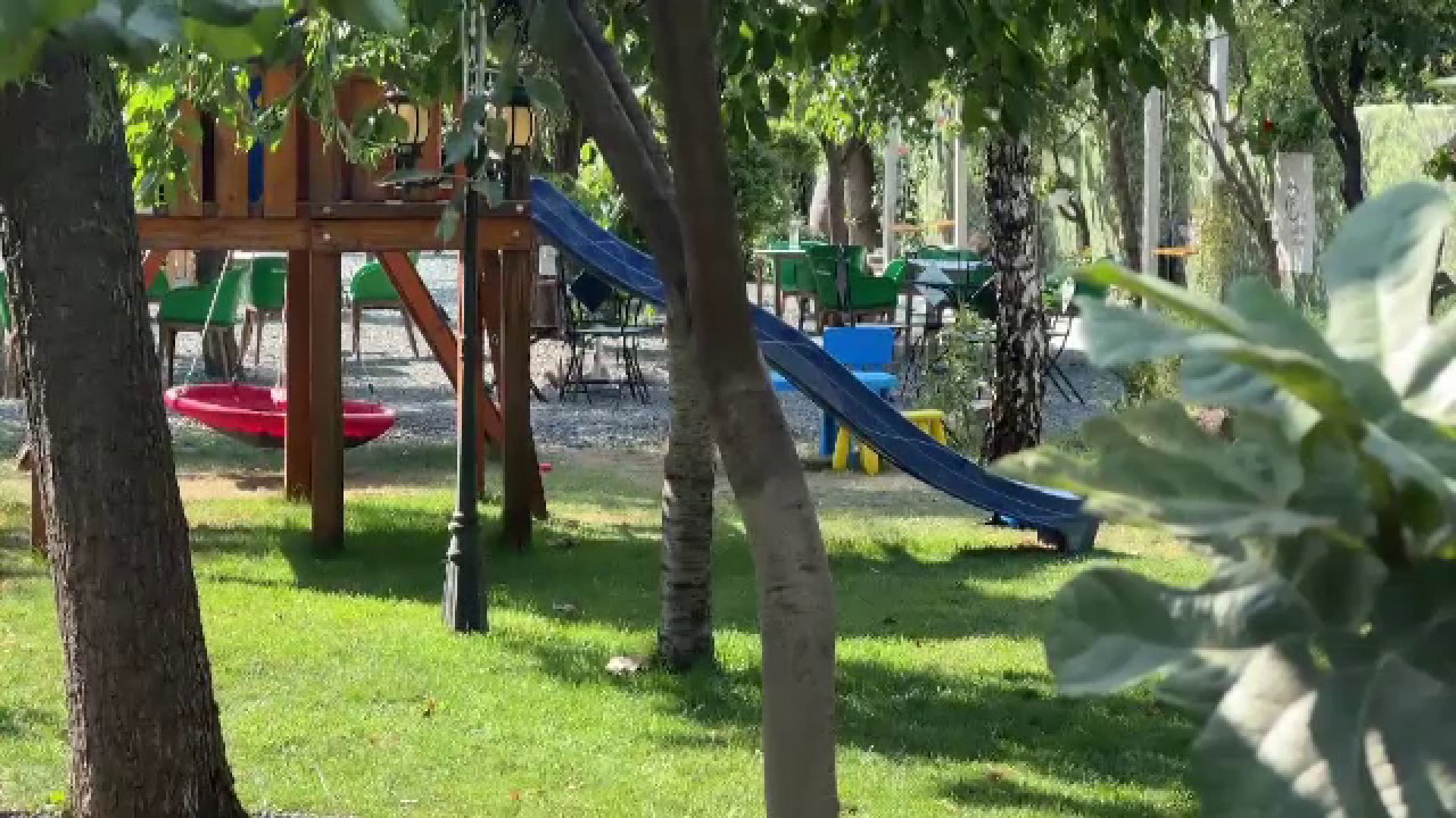 Educatoarea care administrează clubul educaţional din Timişoara unde un băieţel a murit înecat într-un iaz a fost arestată
