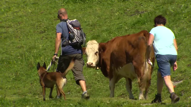 România atrage tot mai mulți turiști străini. Aceștia evită aglomerația și preferă satele autentice și mâncarea tradițională