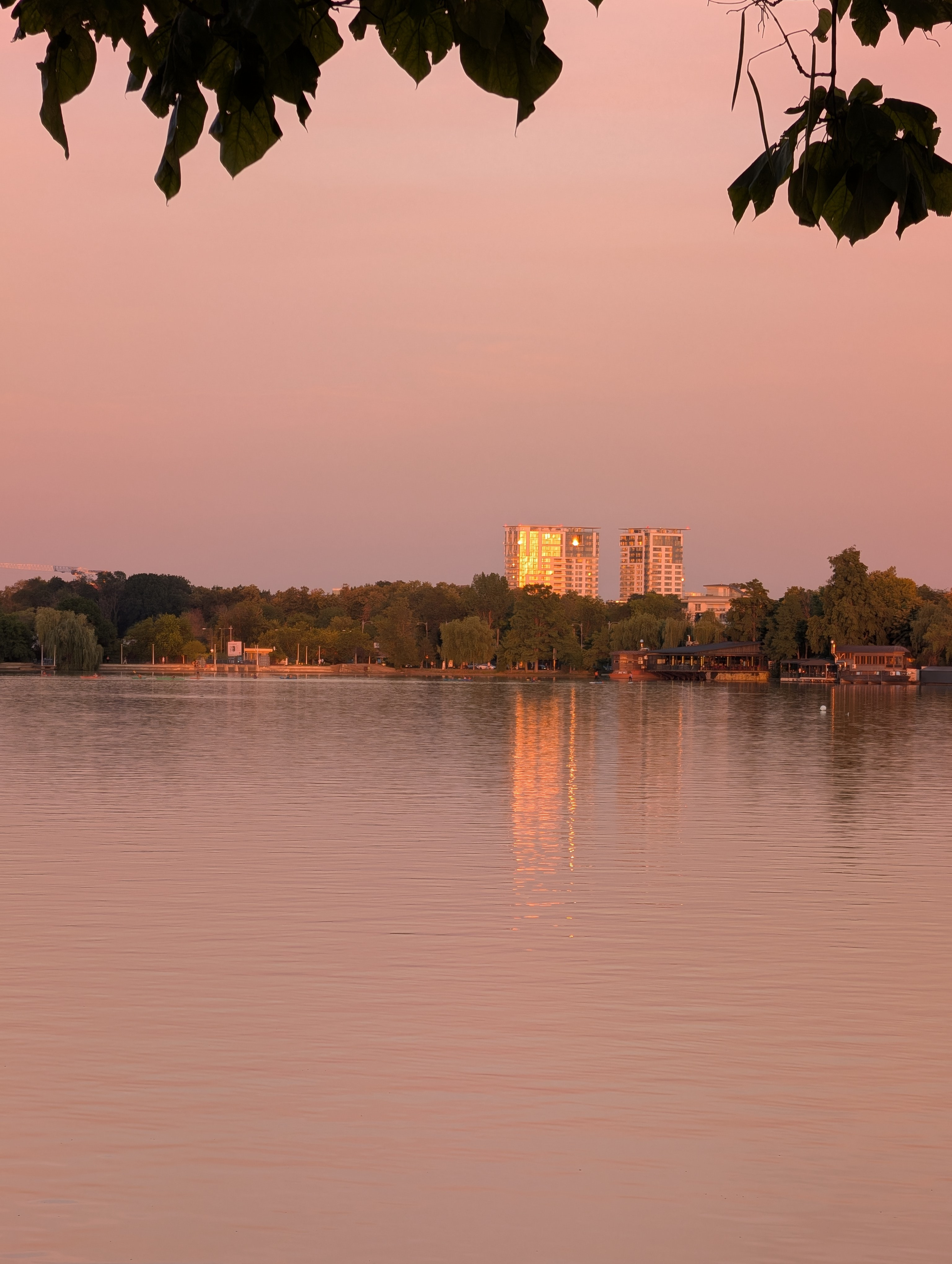 Pixel 10 Pro XL: când camera și AI-ul fac echipă