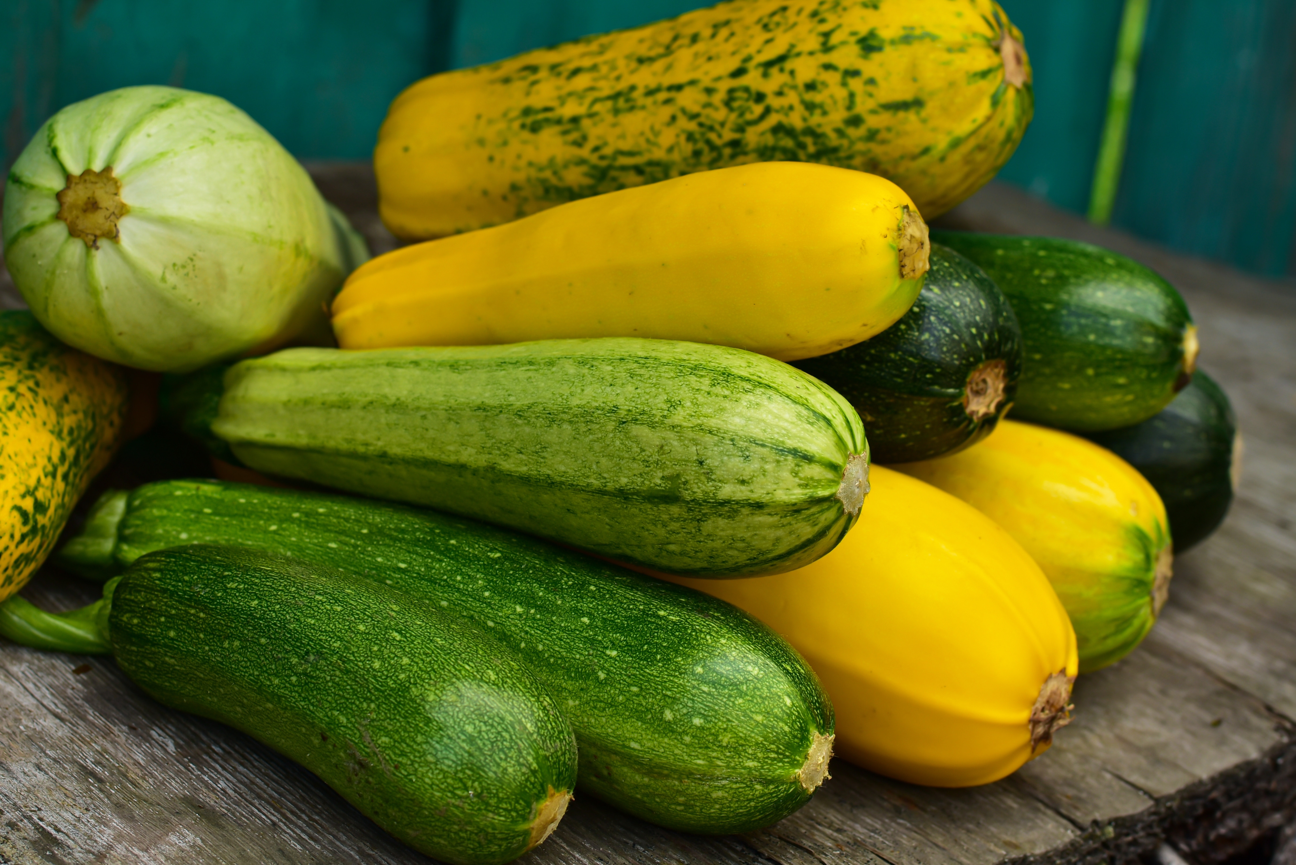 Zucchini: beneficii, rețete și sfaturi de cultivare. Cum să introduci această super legumă în dieta ta