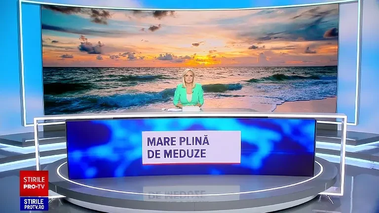 „Peștele nu mai are loc”. Litoralul românesc, invadat de meduze albastre. Specialiștii avertizează turiștii să nu le atingă