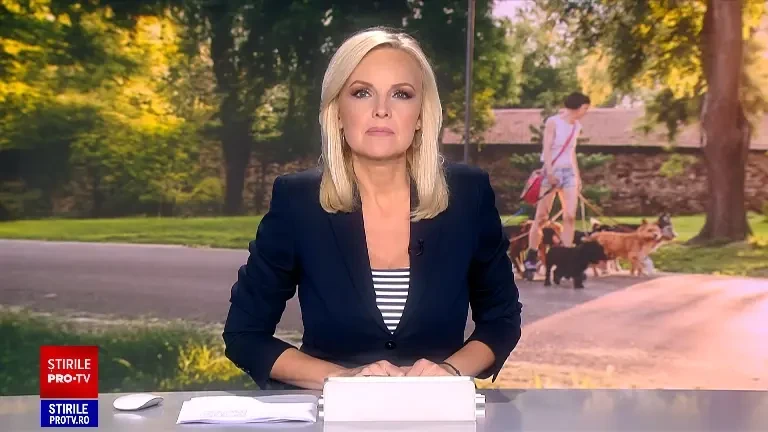 Ocupația de îngrijitor de câini devine oficial o meserie în România. Cei interesați vor urma cursuri acreditate