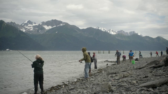 Somonul sălbatic din Alaska, resursă vitală pentru localnici, a scăzut în dimensiuni. A devenit o delicatesă la preț piperat