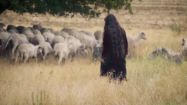 Ținutul Măcinului, unde natura conviețuiește cu tradiția, iar turiștii sunt „adoptați” pe loc de localnici