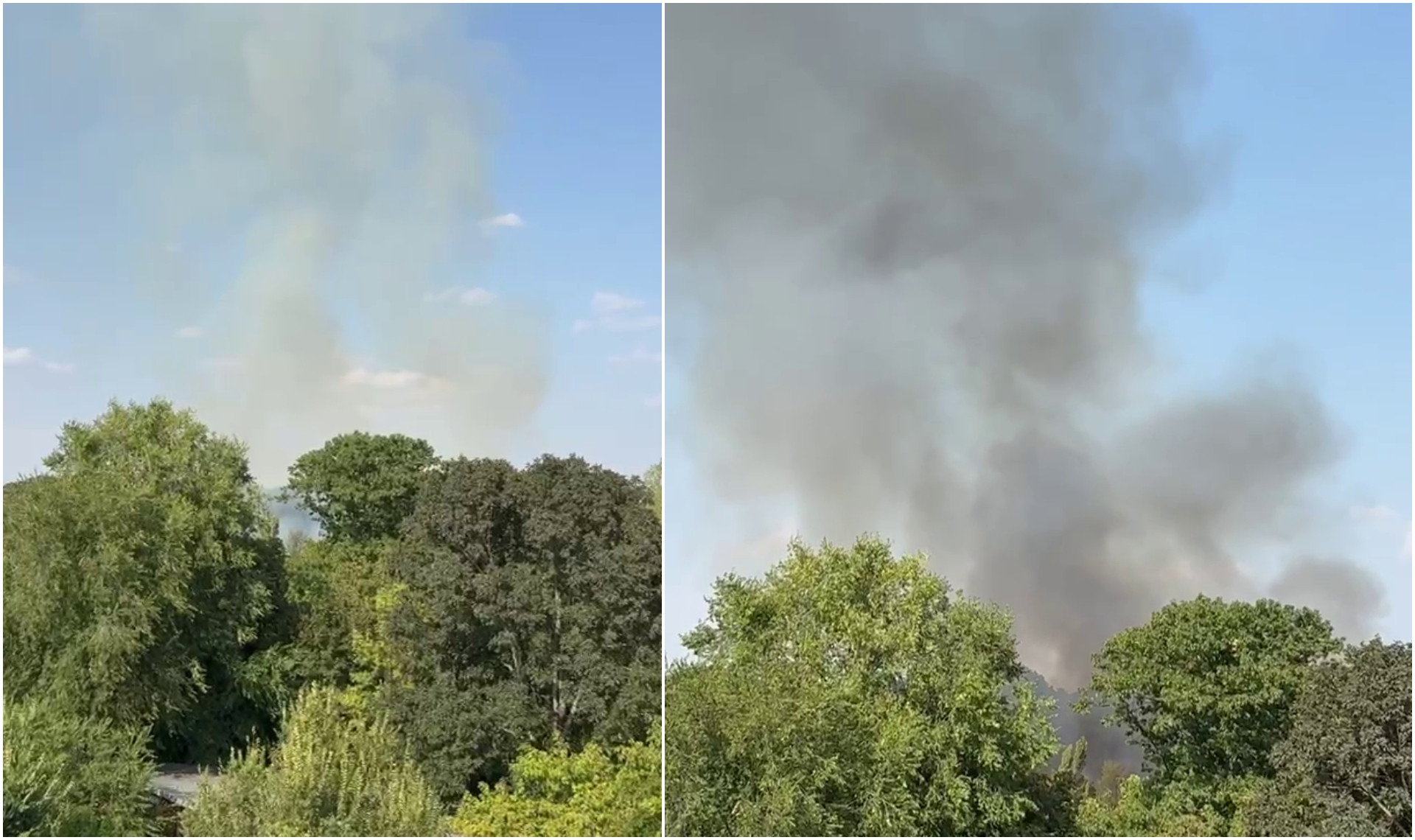 Incendiu puternic la Grădina Zoologică București. Flăcările au cuprins circa 2.000 de metri pătrați