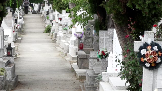 Mai multe orașe din România vor să interzică coroanele de plastic la înmormântări. Care sunt motivele