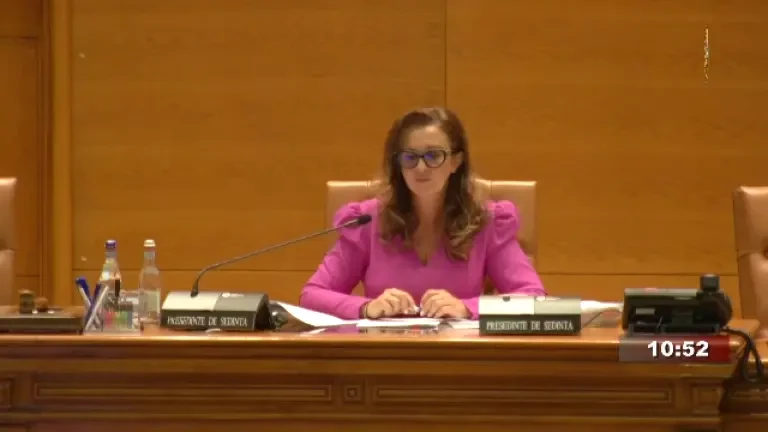 Scandal cu deputați AUR și USR. Mihail Neamțu a fost numit ”propagandist infect, putinist” și ”extremist grobian”