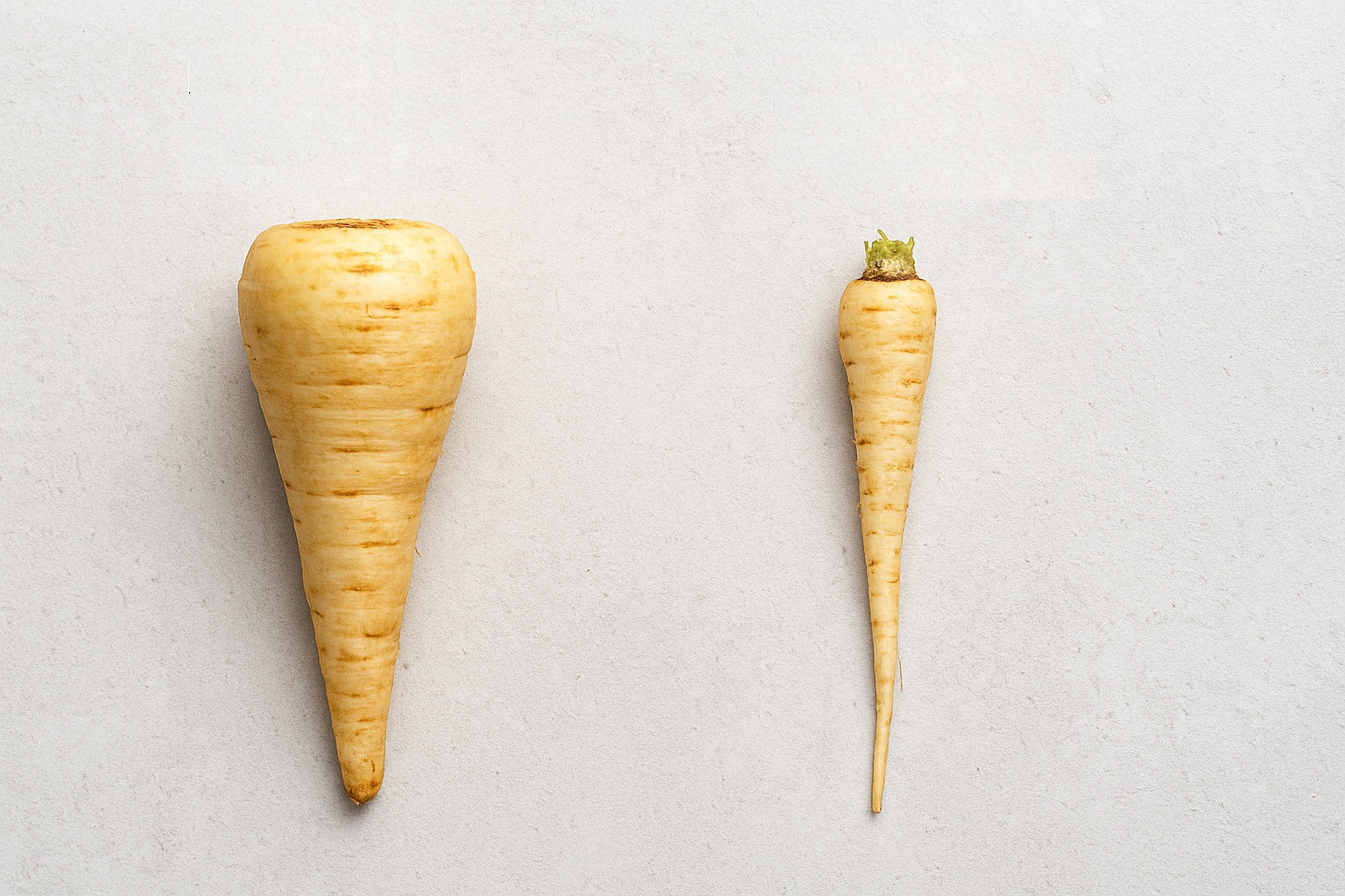 Diferența dintre păstârnac și rădăcina de pătrunjel: cum să le recunoști și să le folosești corect