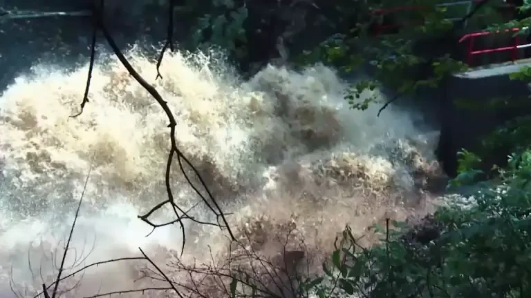 ”După ei, potopul!”. De ce n-am fost în stare să prevenim pierderile de vieți şi pagubele. Duminica aceasta, la PRO TV Stiri actuale 14-09-2025 | 13:46