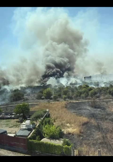 Adus în pragul nebuniei de alergii, se apără el, un bucureștean a dat foc ambroziei. În scurt timp s-a declanșat iadul