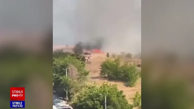 Adus în pragul nebuniei de alergii, un bucureștean a dat foc ambroziei. În scurt timp s-a declanșat iadul