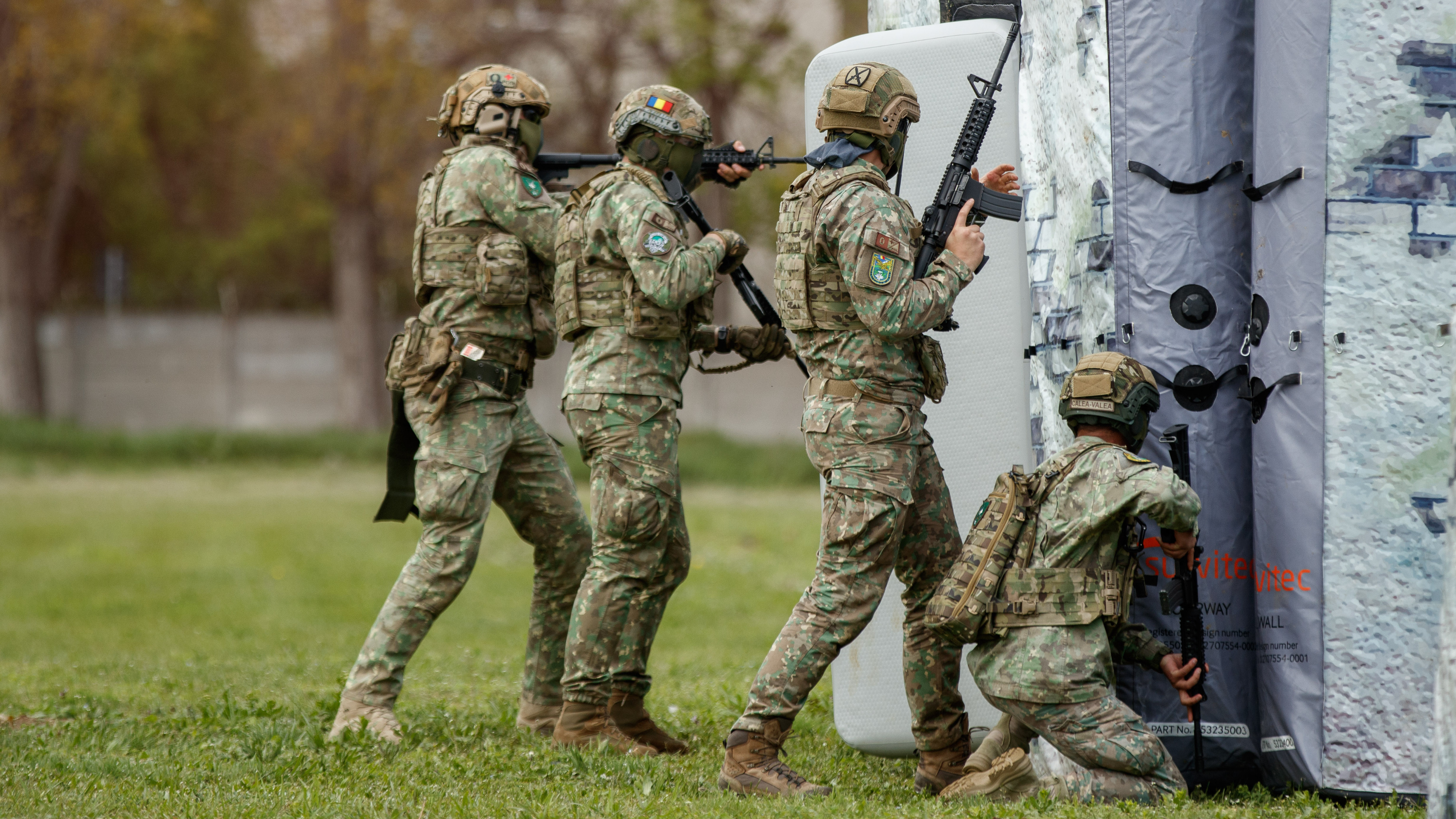 Câți români susțin introducerea stagiului militar pe bază de voluntariat. MApN vrea creșterea armatei
