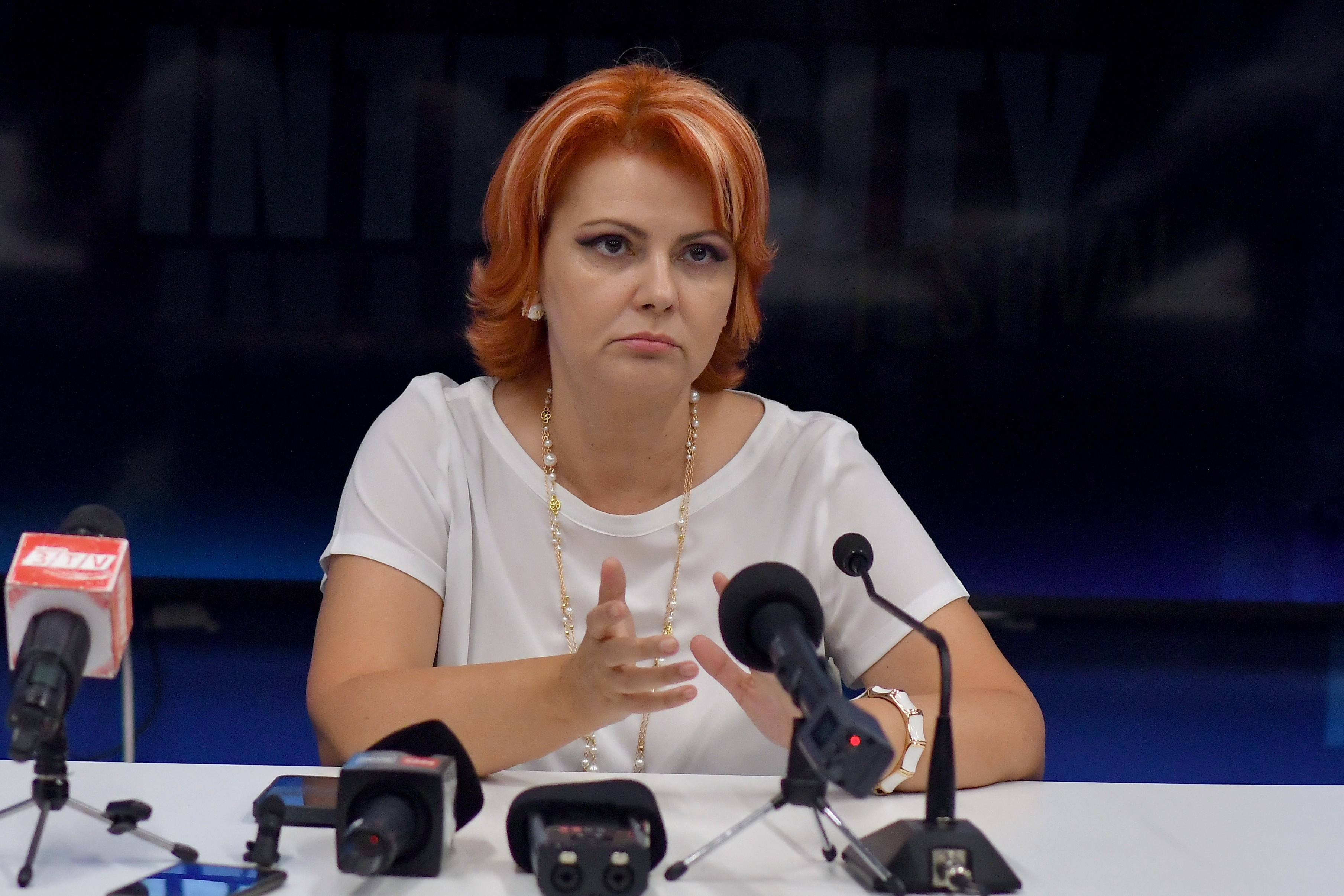 Cele două variante propuse primarilor de Guvern pentru reforma administrației locale. Cum ar putea fi reduse posturile