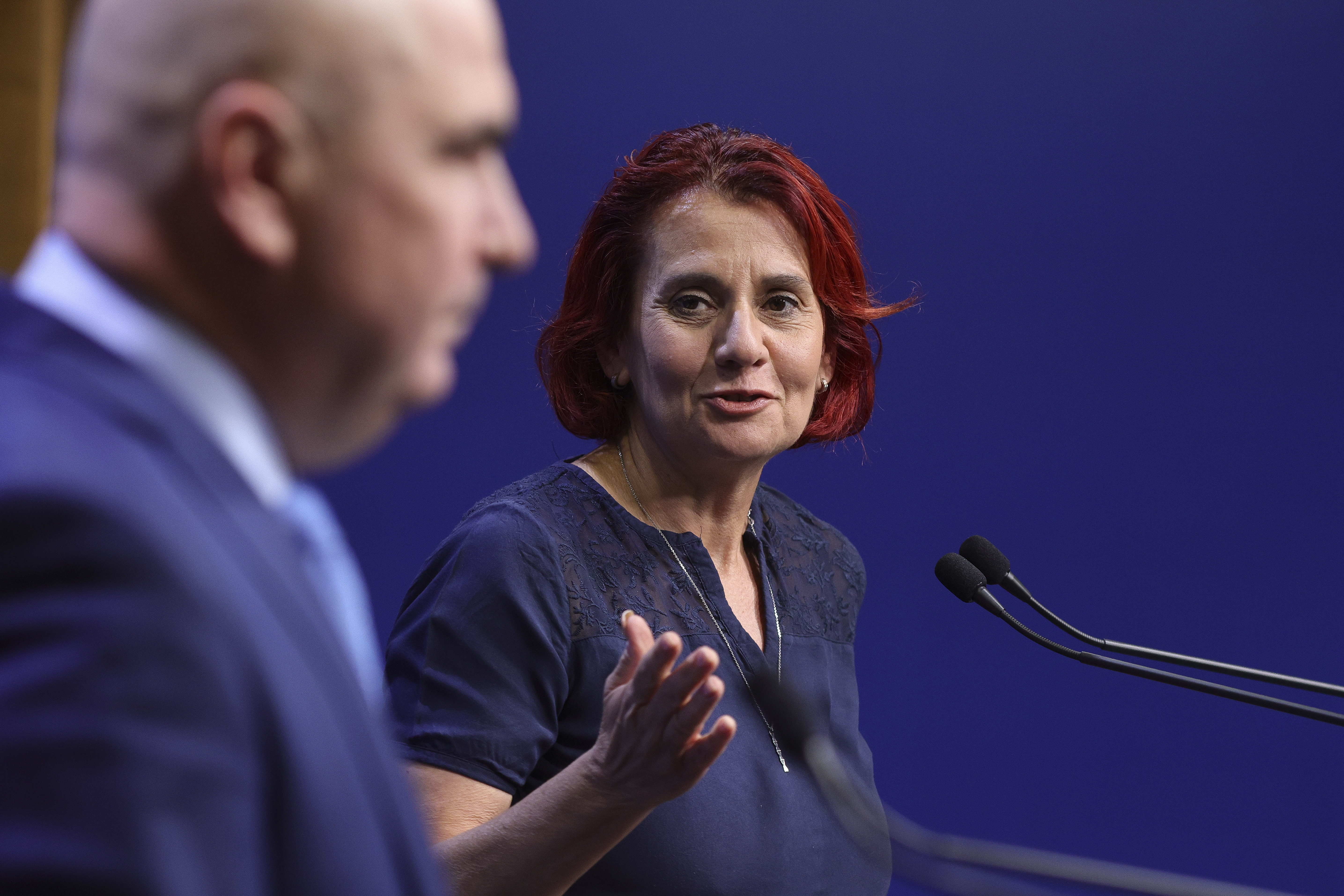 Purtătoarea de cuvânt a guvernului a tranșat problema „știa sau nu PSD de anularea plafonării”: Ședințele sunt pe stenograme