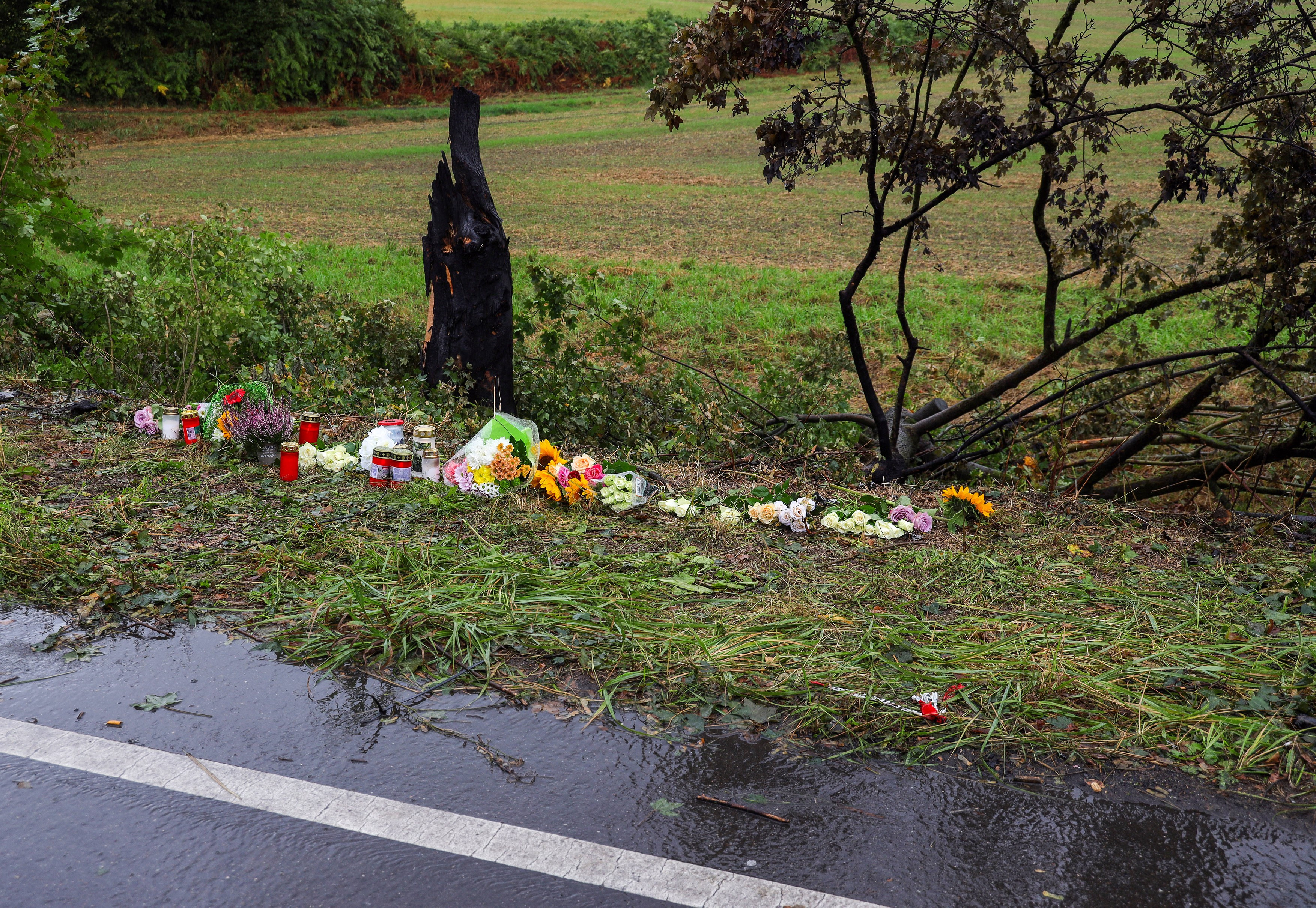 Un bărbat și doi copii au murit arși de vii într-o Tesla care a luat foc. Salvatorii n-au reușit să deschidă ușile blocate