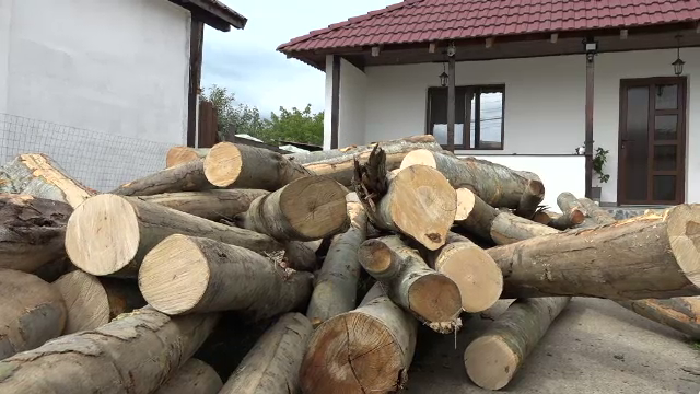 O instituție publică lansează un magazin online pentru vânzarea lemnului de foc. Cât costă un metru cub