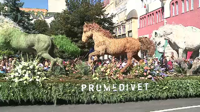 Spectacolul florilor a adus magie în Târgu Mureș. Sutele de spectatori au admirat carele alegorice colorate