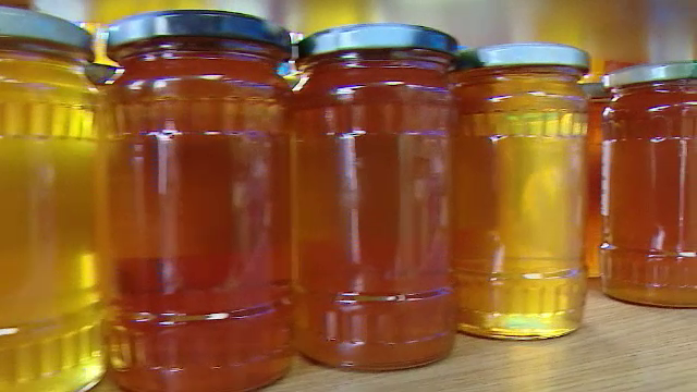 Seceta și canicula afectează grav apicultorii români. Prețul incredibil la care se vinde un kilogram de miere