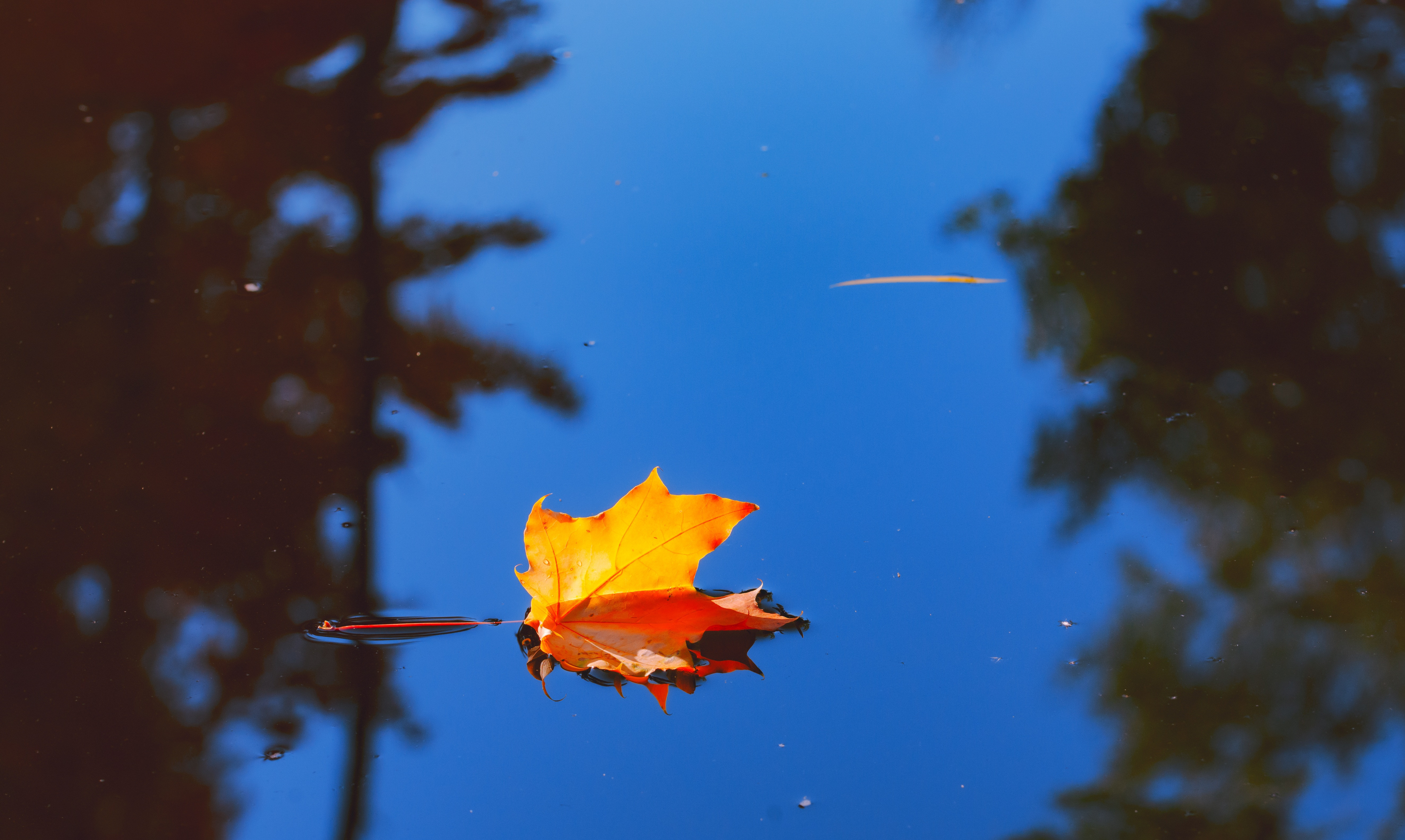 Echinocțiul de toamnă 2025: Data exactă, semnificația astronomică și tradițiile care trebuie respectate astăzi