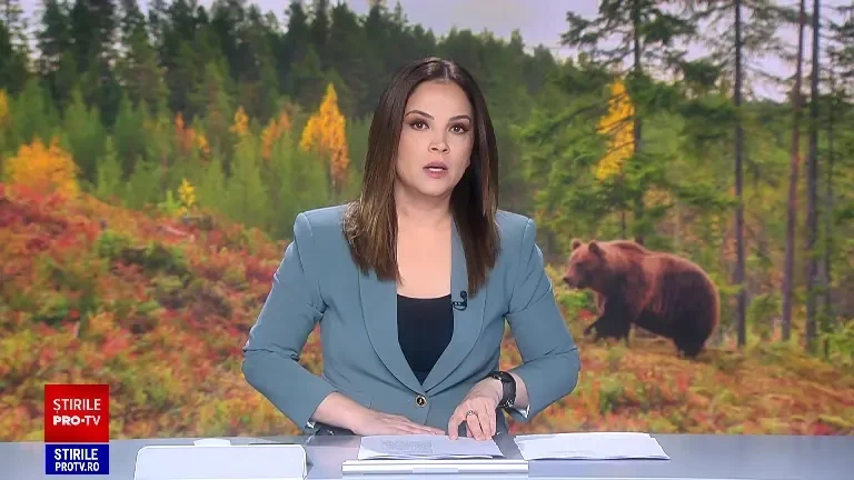 Un urs și-a făcut apariția la 10 km de Craiova. Localnicii primesc mesaje de avertizare