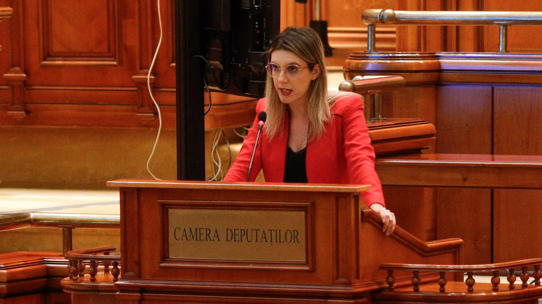 Moțiunea AUR împotriva ministrului Mediului, Diana Buzoianu, respinsă de plenul Camerei Deputaţilor