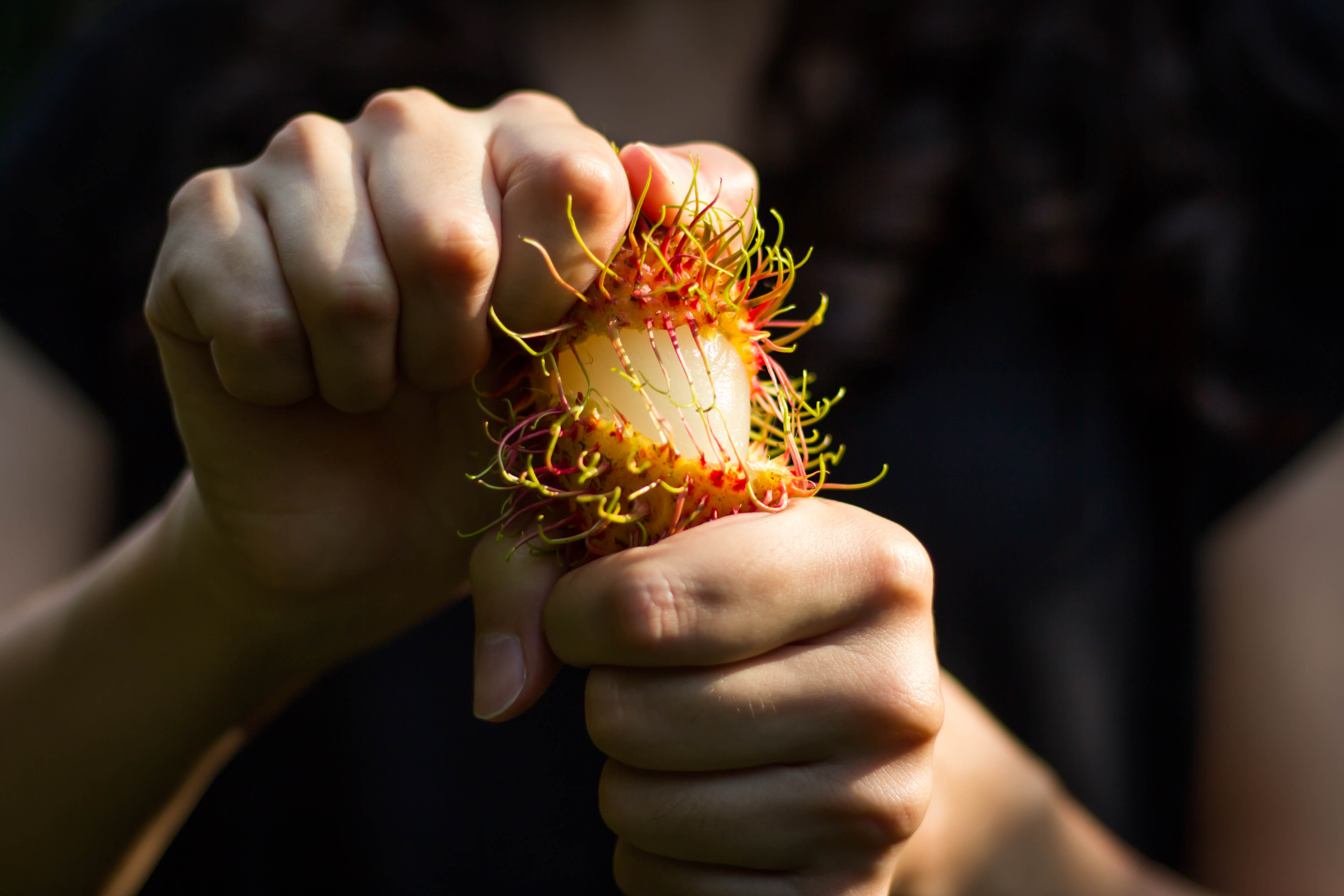 Rambutan – fructul ciudat cu gust dulce și beneficii surprinzătoare. Cum se mănâncă