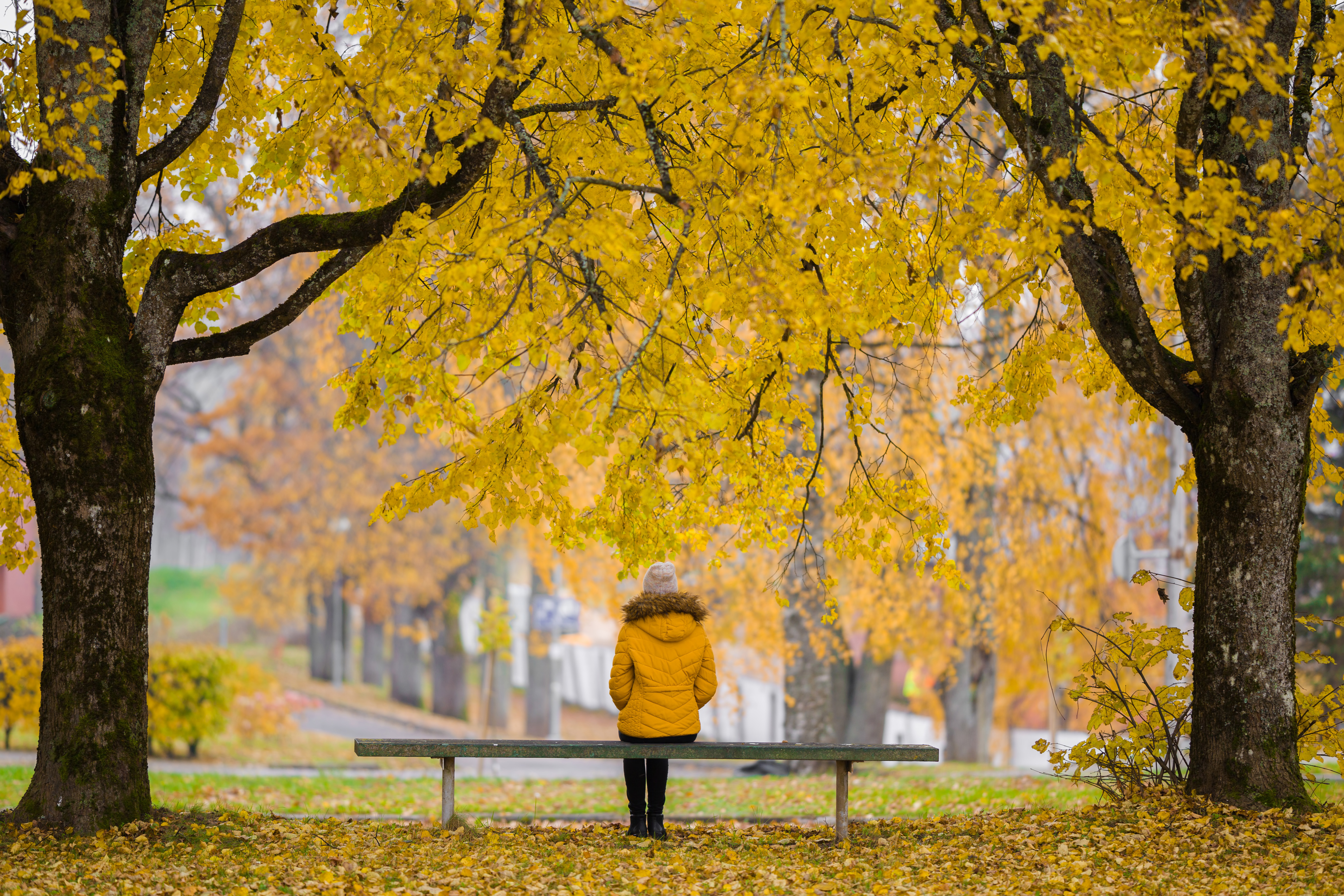 Primele zile din decembrie aduc vreme caldă și ploi, anunță ANM. Cum va fi vremea în următoarele patru săptămâni