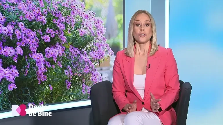 De la copilul neastâmpărat la adultul epuizat. Cum se manifestă ADHD-ul la persoanele adulte