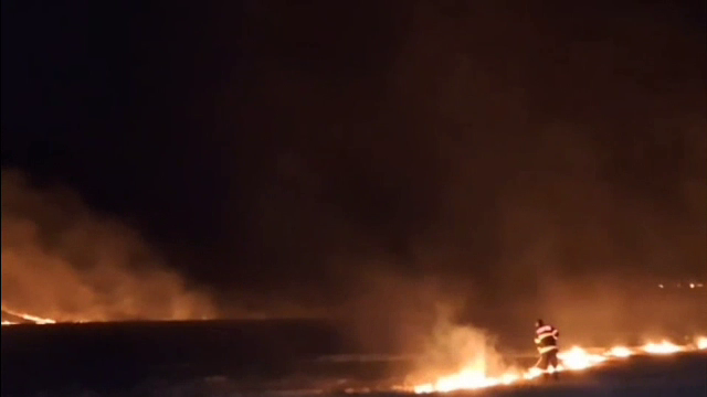 100 de hectare de vegetație, distruse de un incendiu în județul Olt. Pompierii au luptat cu flăcările timp de peste 12 ore