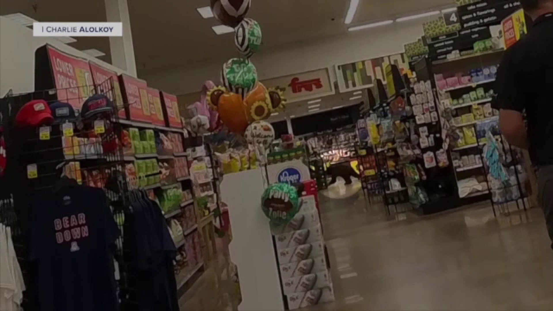 Un urs a dat buzna într-un supermarket din Arizona și a stârnit panică printre cumpărători