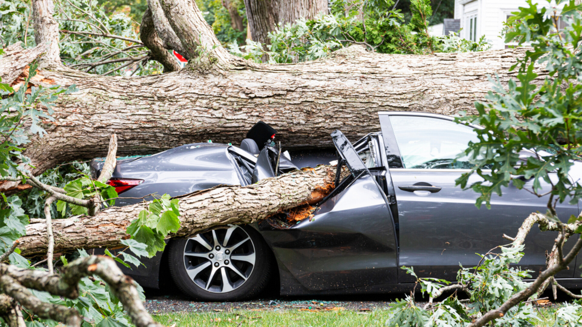 Despăgubiri pentru mașinile avariate de copaci şi blocuri de gheaţă în Sectorul 2. Ce documente sunt necesare