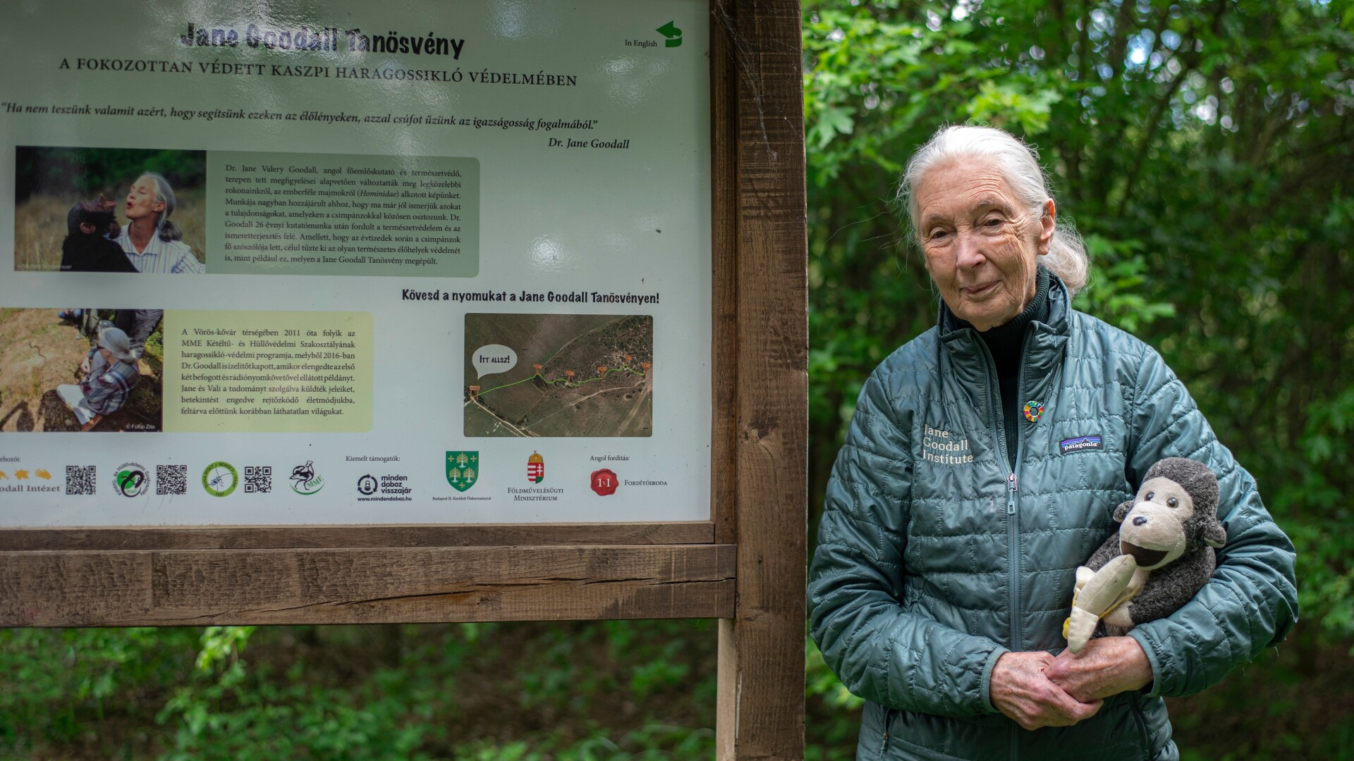 Jane Goodall, celebra primatologă britanică și apărătoare a mediului, a murit la 91 de ani. Cercetătoarea a decedat în SUA