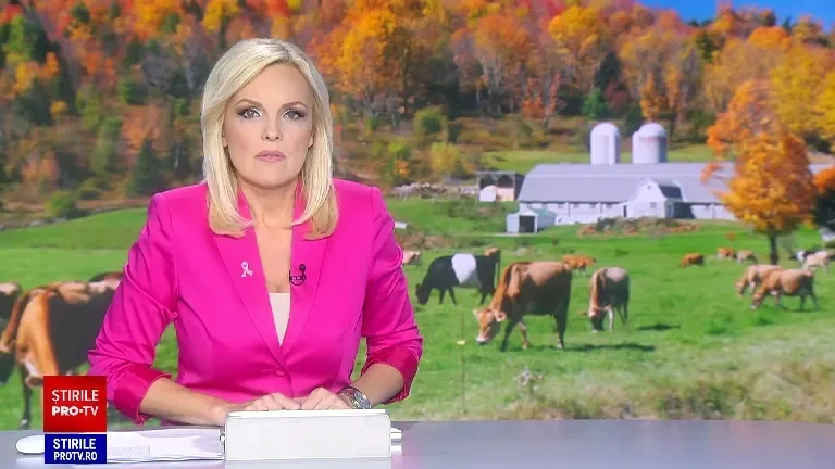 Programul guvernamental de panouri fotovoltaice pentru agricultori începe să-și arate utilitatea. Ce spune un producător