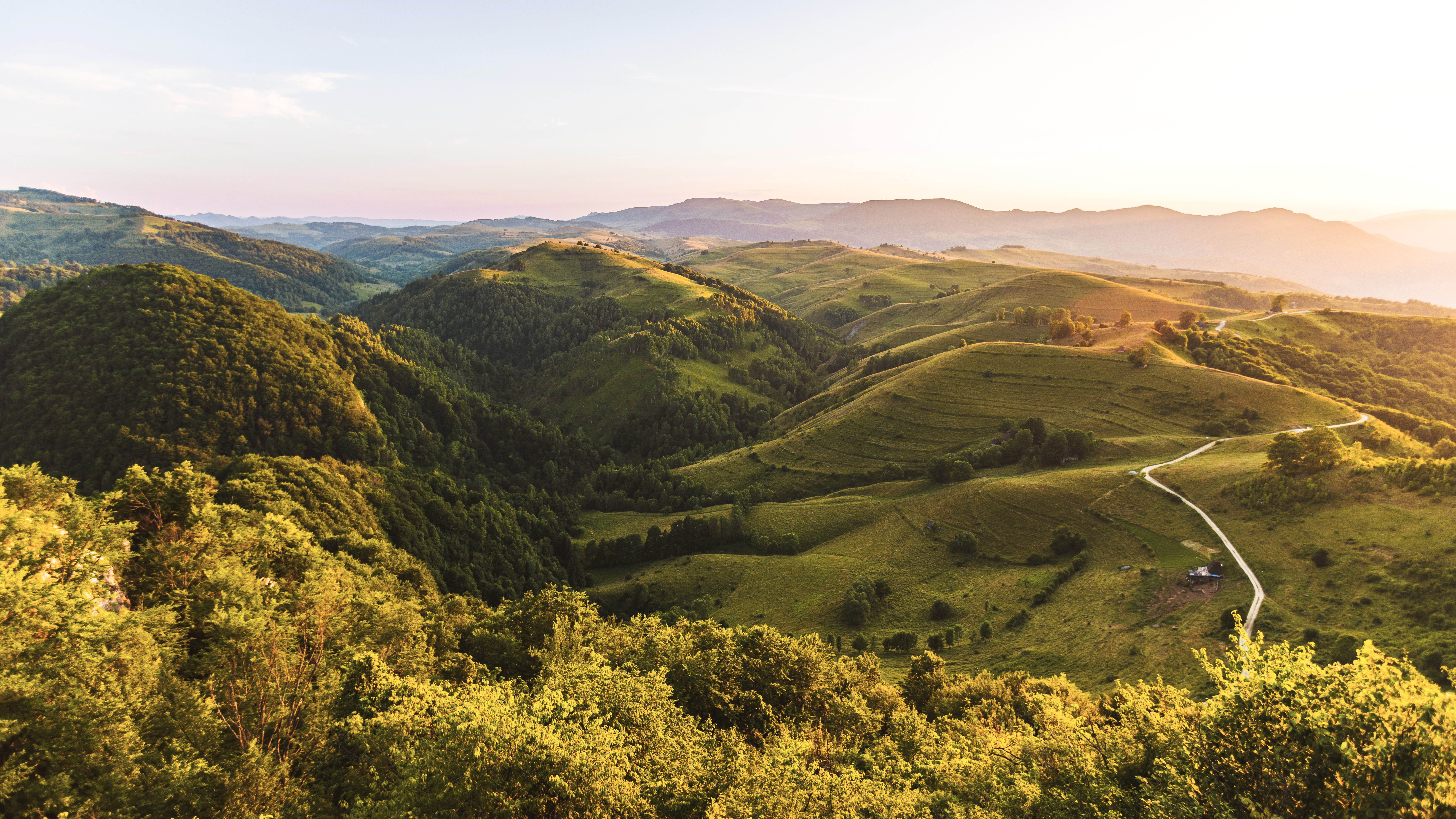 Cifrele dezastrului. România a împădurit în 30 de ani de două ori mai puține hectare decât în tot anul 1953