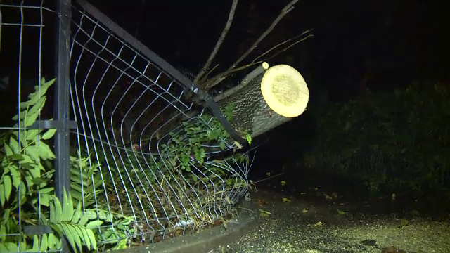 Vreme extremă în aproape toată țara. Cod roșu de ploi, vijelii periculoase și ninsori. ”Anotimpul s-a schimbat peste noapte”