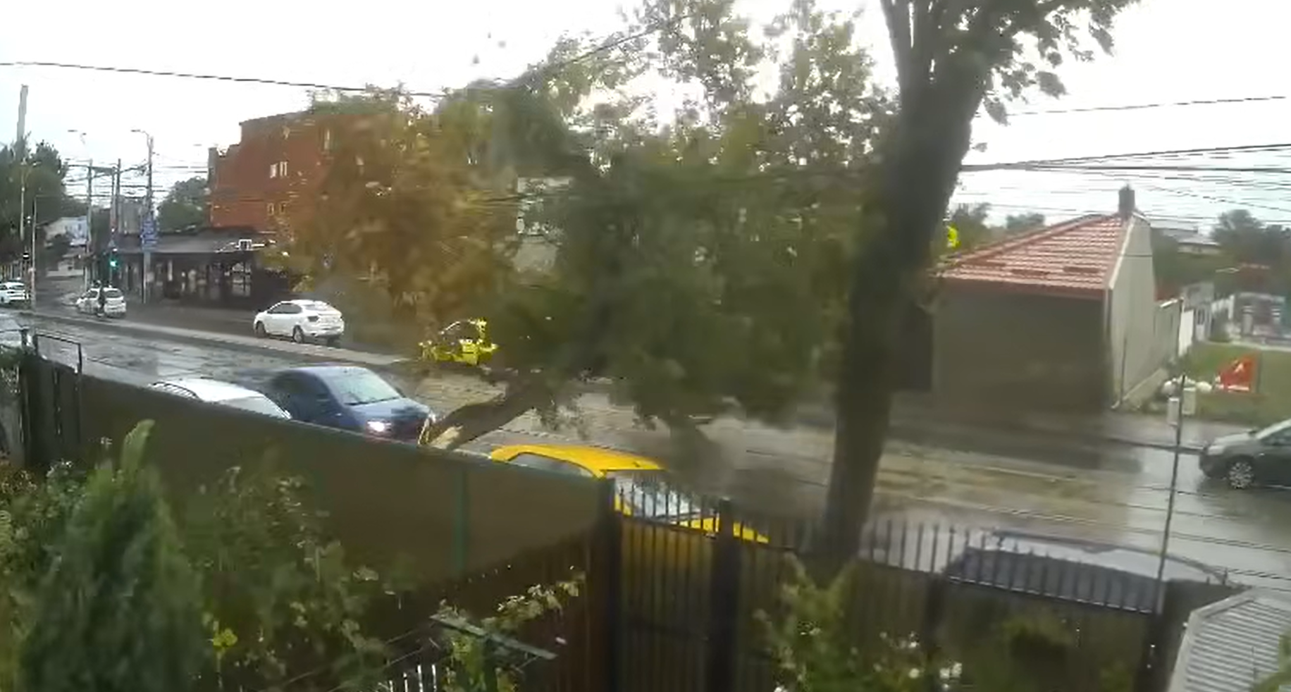 Furtună și ploi abundente în toată țara. Momentul în care un copac strivește o mașină aflată în mișcare | Video