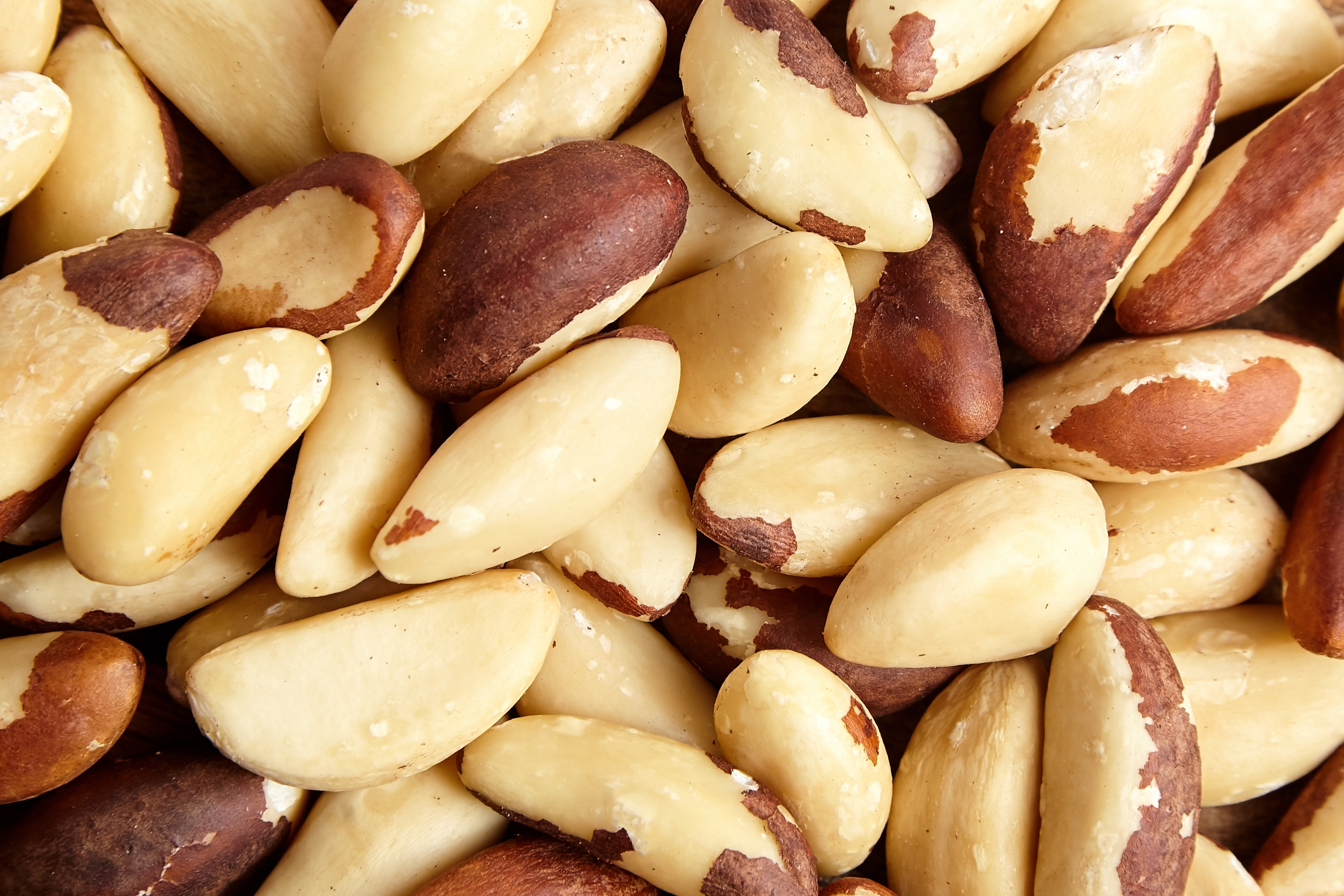 Nuci braziliene – superalimentul bogat în seleniu. De ce ar trebui să consumi nuci mai des