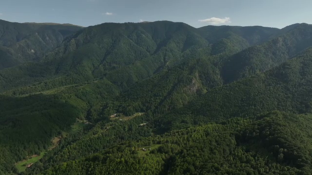 Jumătate din zonele alpine ale Carpaților s-au înverzit în ultimele patru decenii. Fenomenele care au dus la schimbări